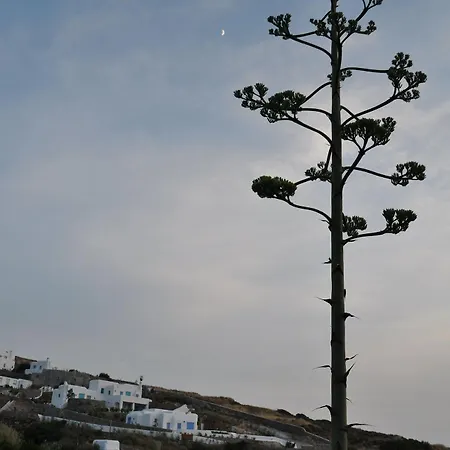 Belogna Ikons Villas