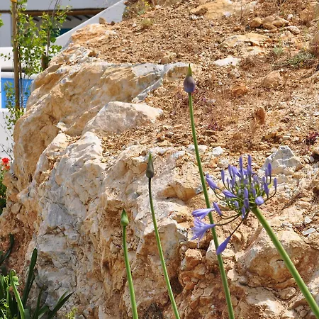 Belogna Ikons Villas Pirgaki (Naxos)